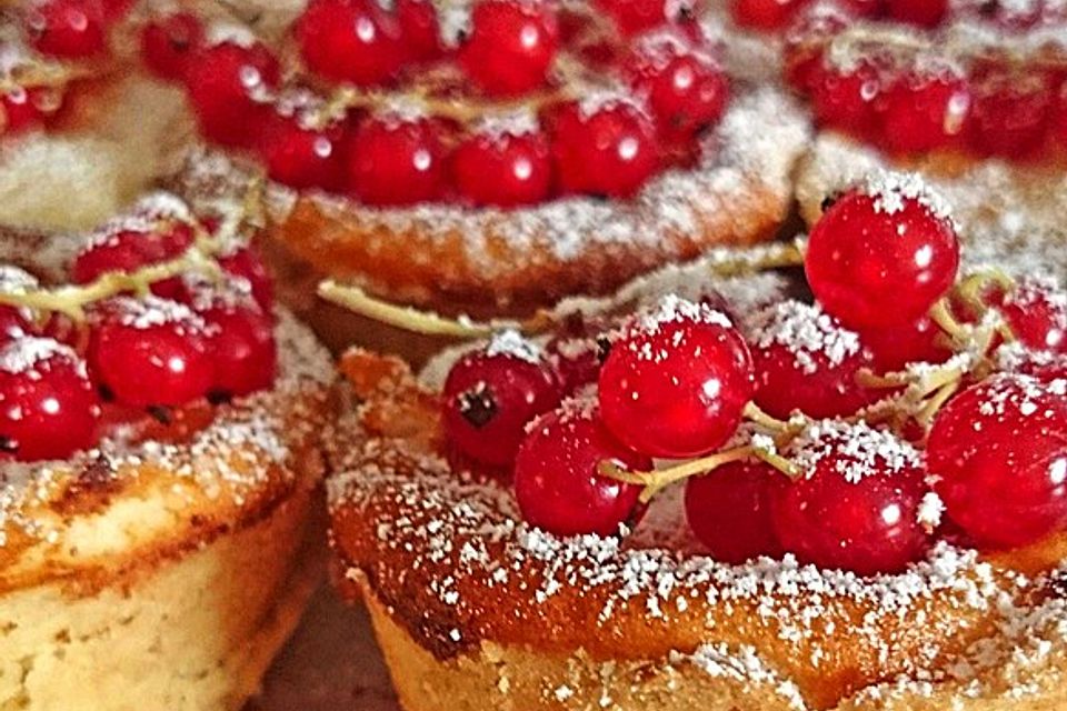 Mini-Cheesecakes mit Johannisbeeren