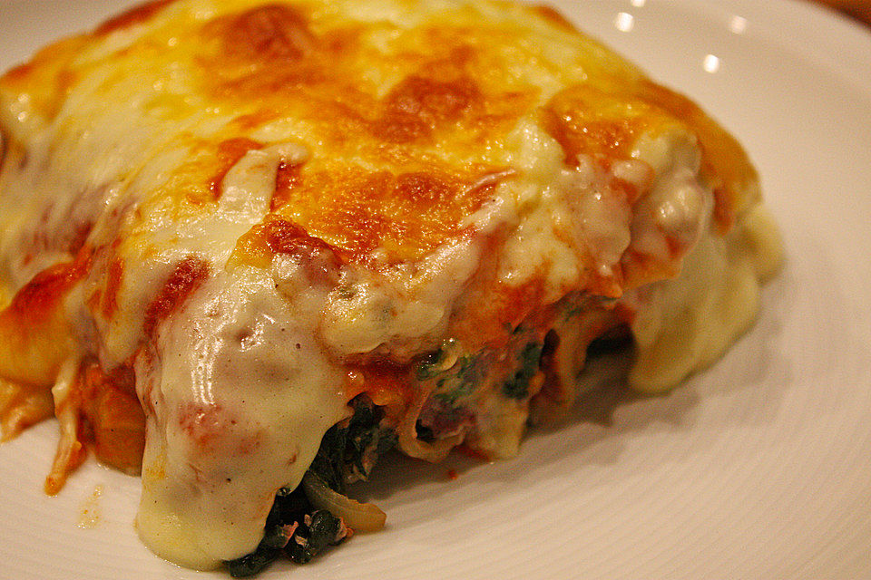 Gefüllte Cannelloni