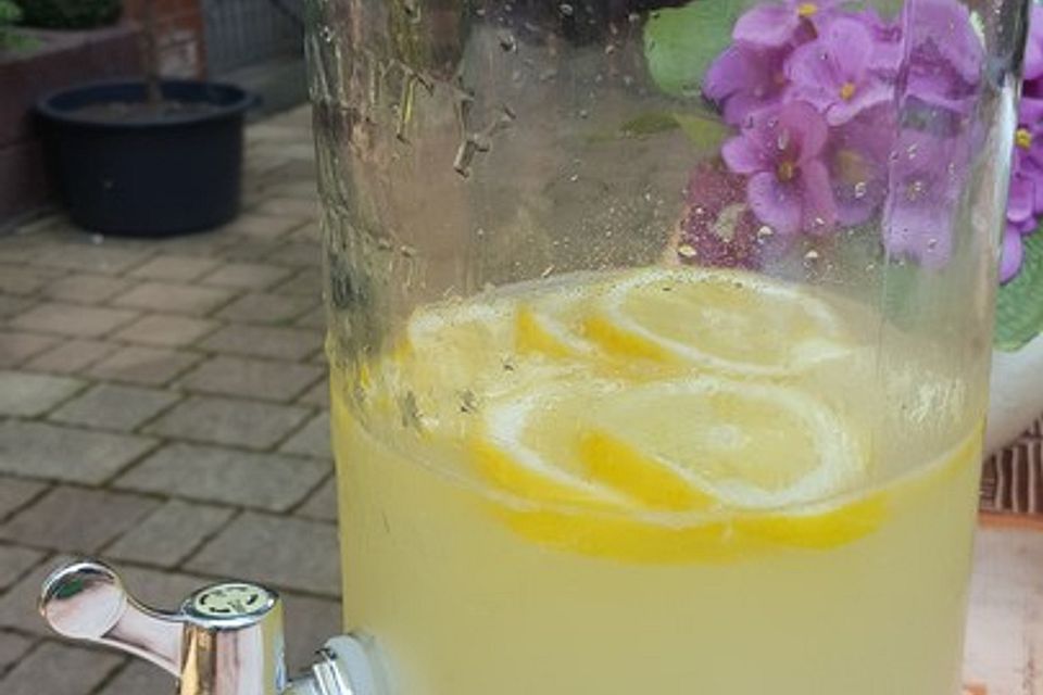 Ingwer -  Limonade