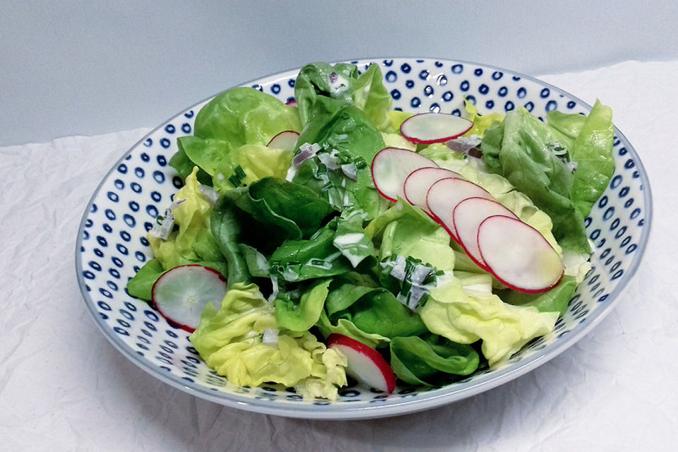 Frühlingshafter Kopfsalat mit Radieschen