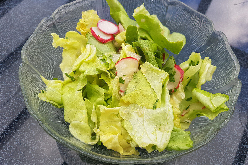 Frühlingshafter Kopfsalat mit Radieschen