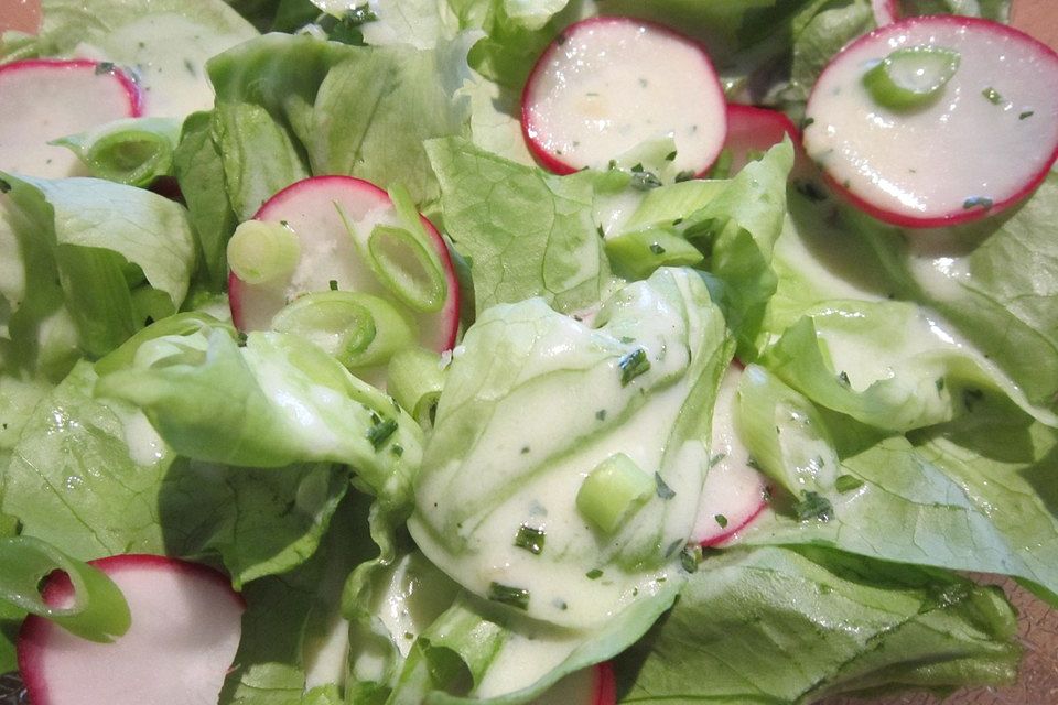 Frühlingshafter Kopfsalat mit Radieschen