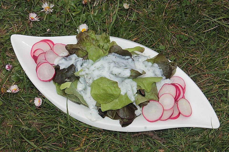 Eichblattsalat mit Radieschen