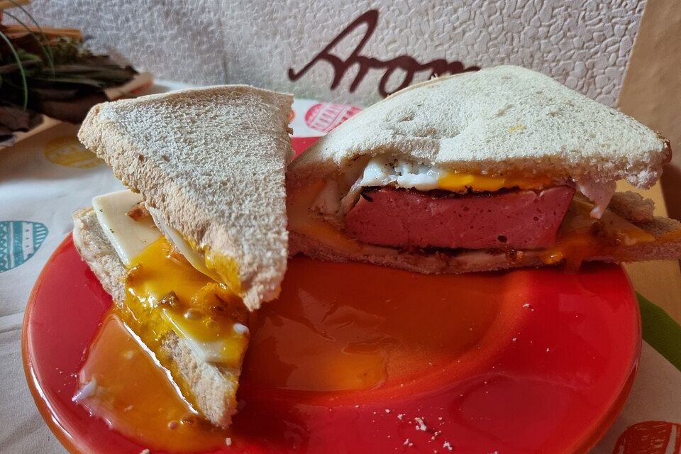 Sandwich alla Michi