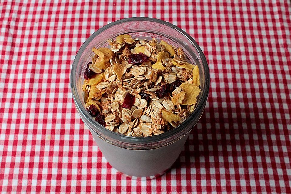 Kokos-Cranberry-Müsli