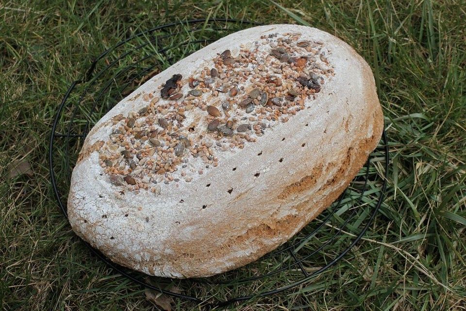 Dinkel-Roggen-Vollkornbrot