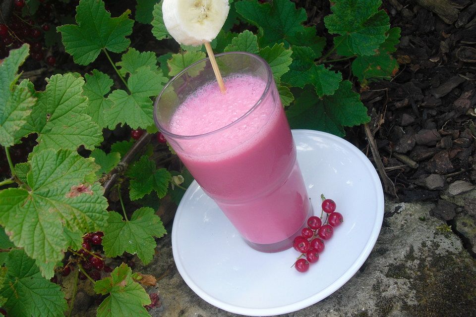 Roter Johannisbeer-Bananen-Smoothie