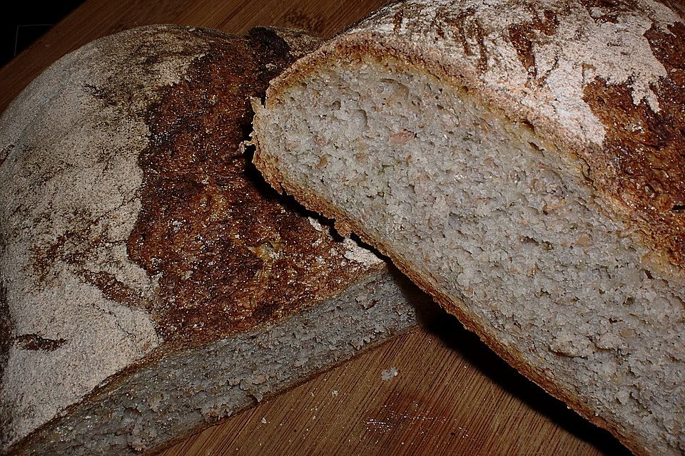 Delfinas Estragon-Schrot-Brot