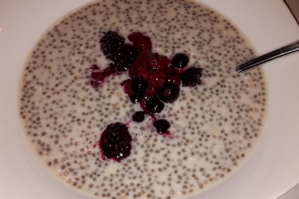 Chiapudding mit Heidelbeeren