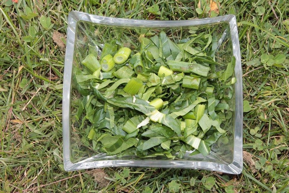 Pak Choi Salat