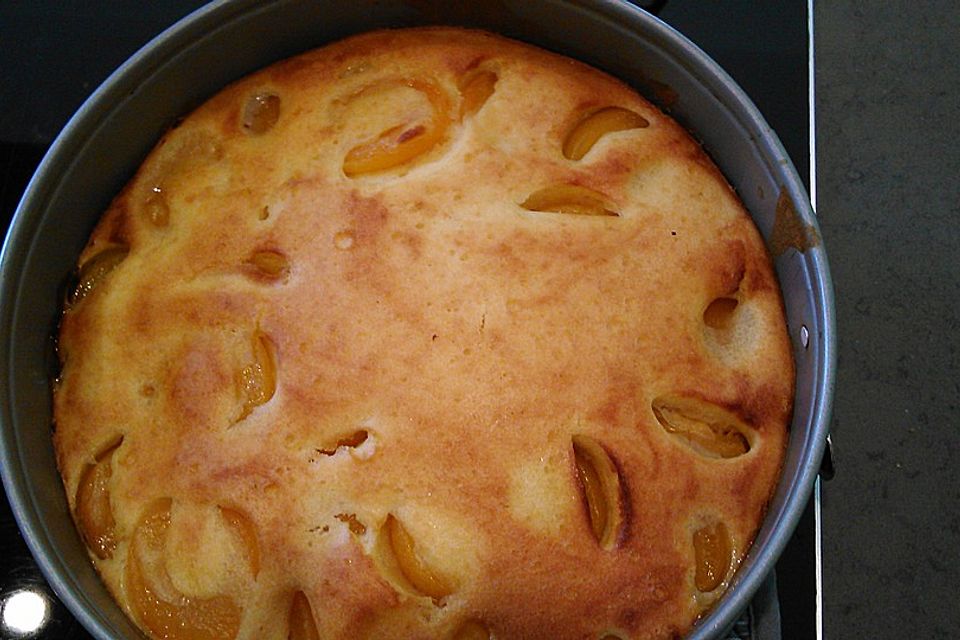 Aprikosenkuchen