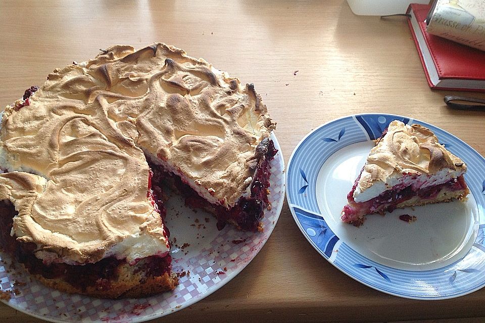 Apfel-Blaubeerkuchen