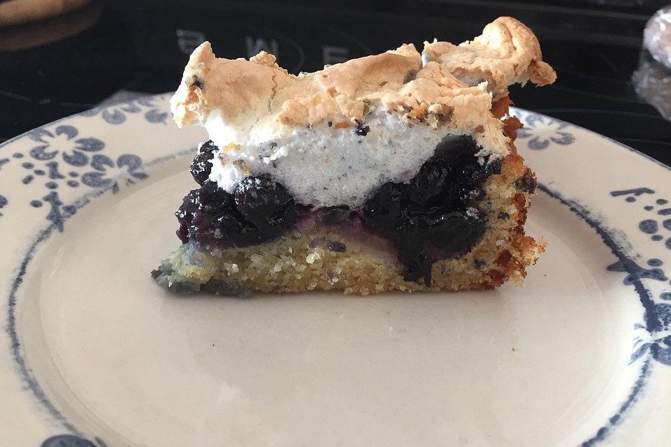 Apfel-Blaubeerkuchen