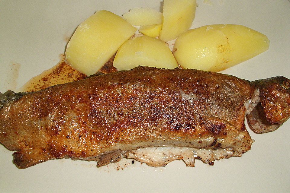 Forelle gebraten