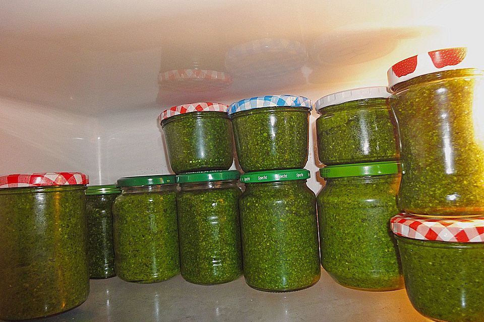 Bärlauchpesto