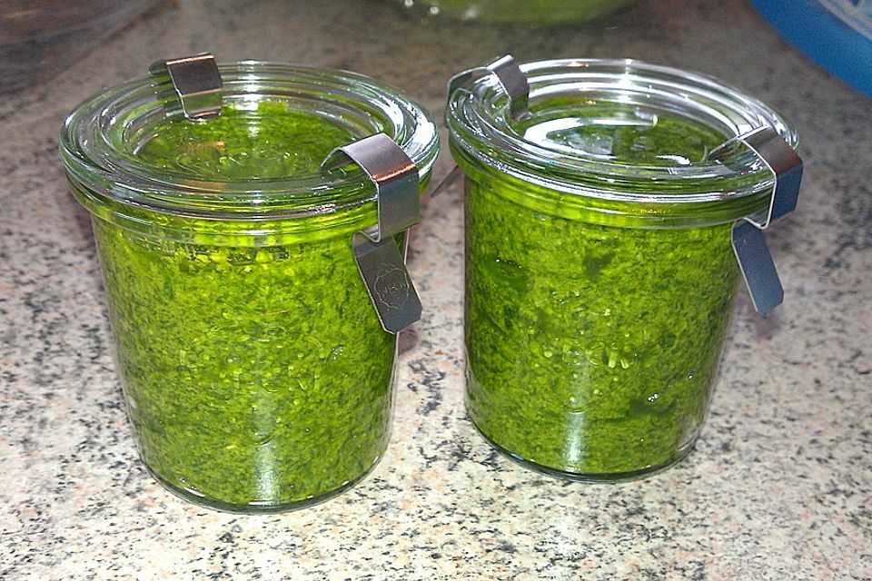 Bärlauchpesto