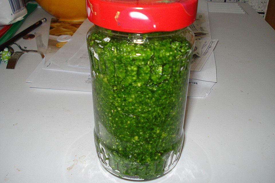 Bärlauchpesto