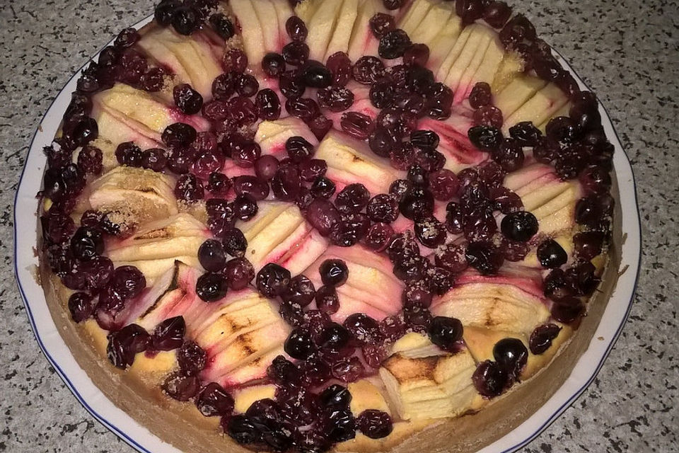 Apfelkuchen mit frischen Cranberries