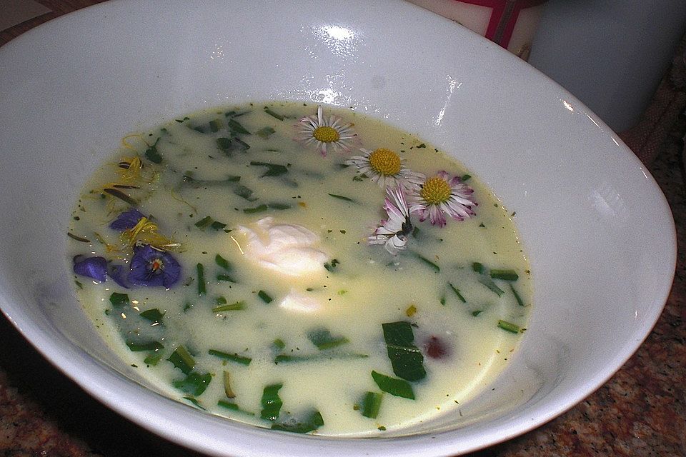 Altbayrische Frühlingssuppe