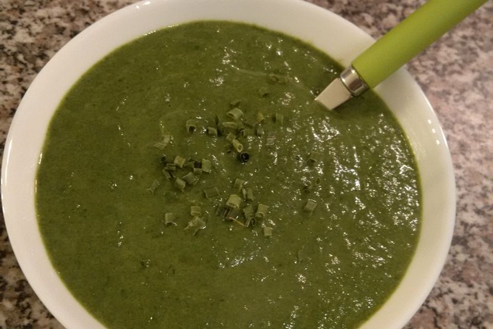 Spinat-Kokos-Suppe