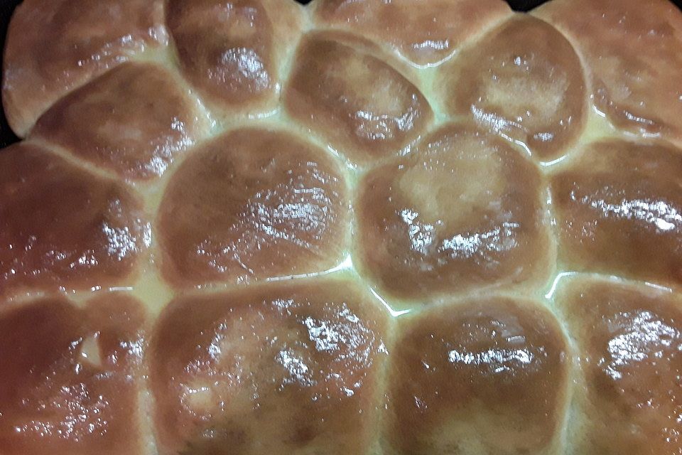 Dinner Rolls