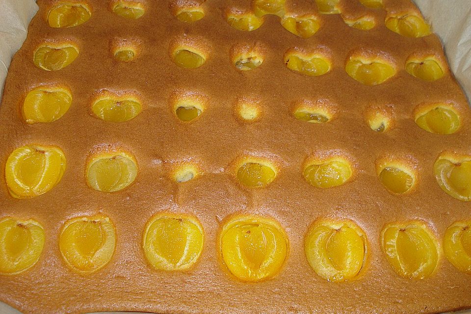 Marillenkuchen