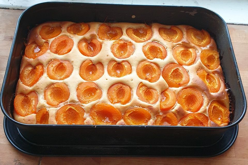 Marillenkuchen