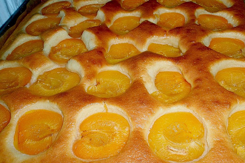 Marillenkuchen