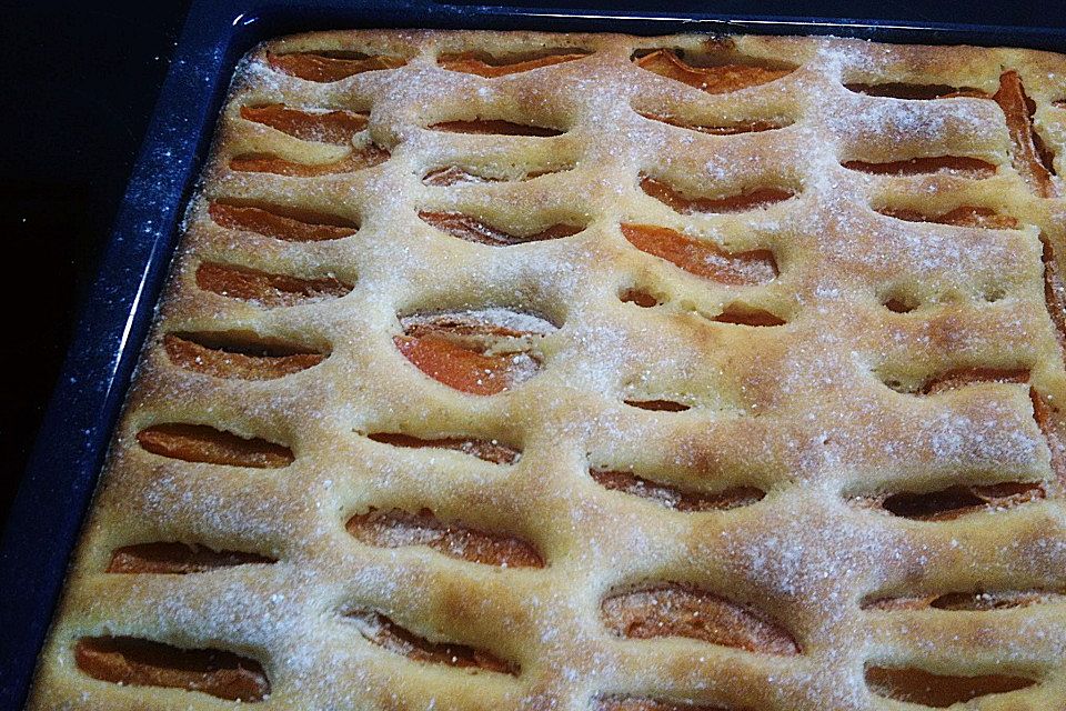 Marillenkuchen