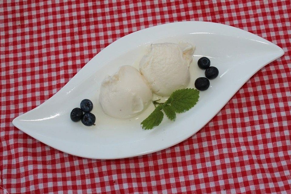 Vanilla Frozen Yogurt