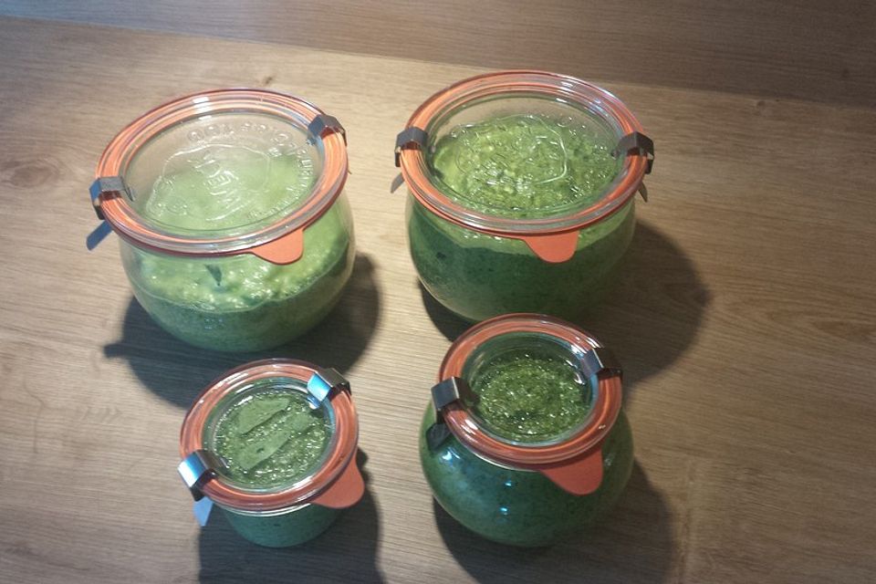 Mangold-Pesto