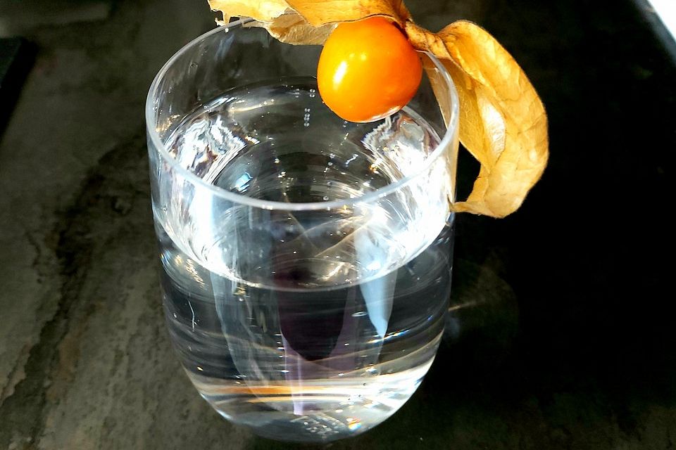 Soda-Wasser selbst gemacht