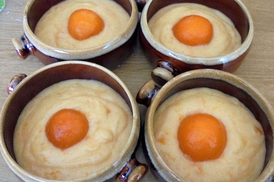 Aprikosenpudding à la Didi