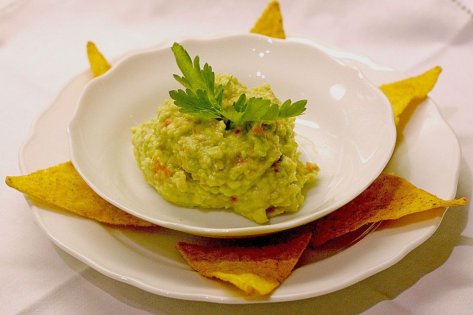 Guacamole Yucatan