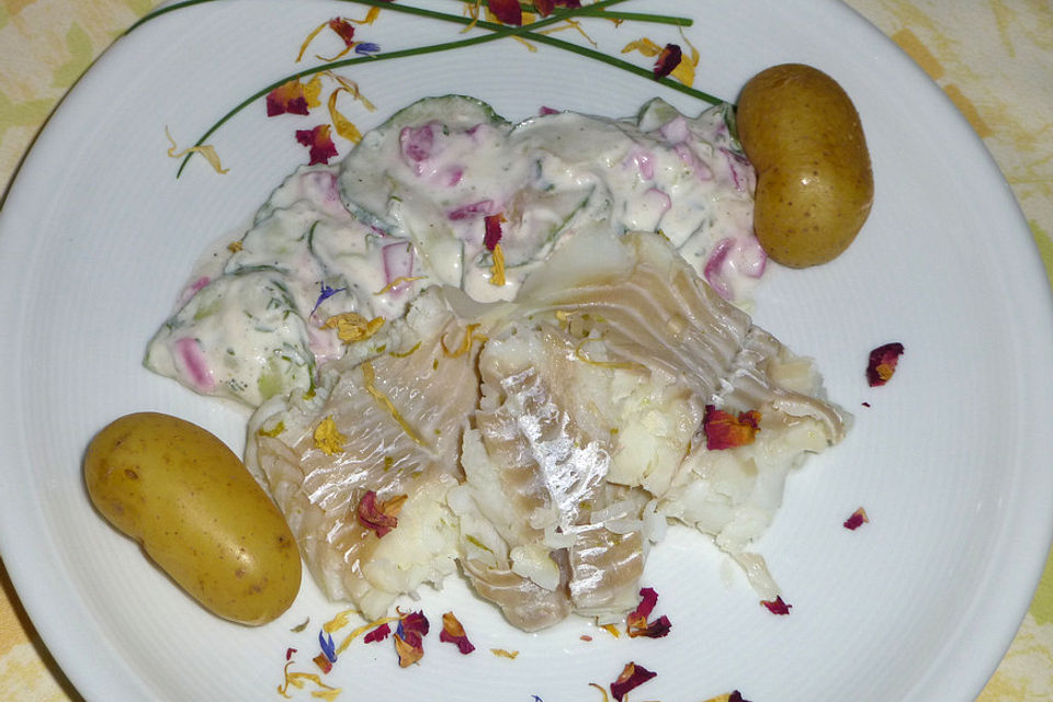 Kabeljaufilet gedünstet mit Gurkensalat