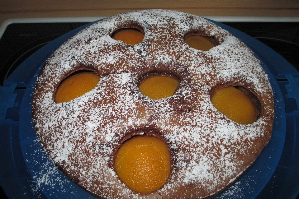 Schoko-Aprikosenkuchen