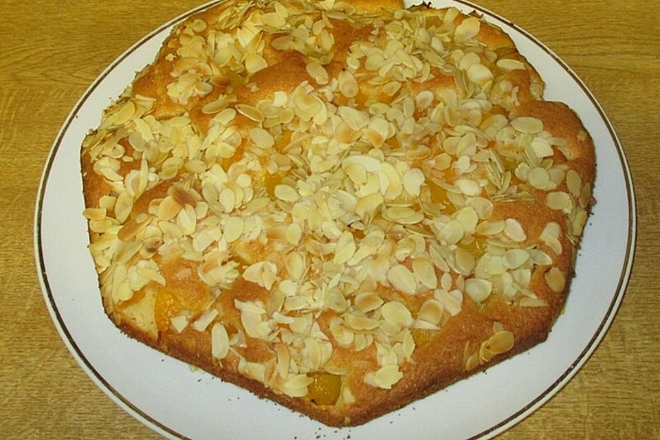 Aprikosenkuchen mit Mürbteig