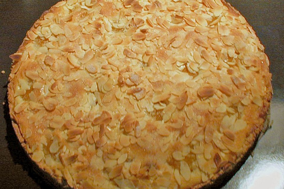 Aprikosenkuchen mit Mürbteig