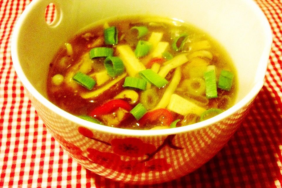 Chinesische Hot & Sour Suppe