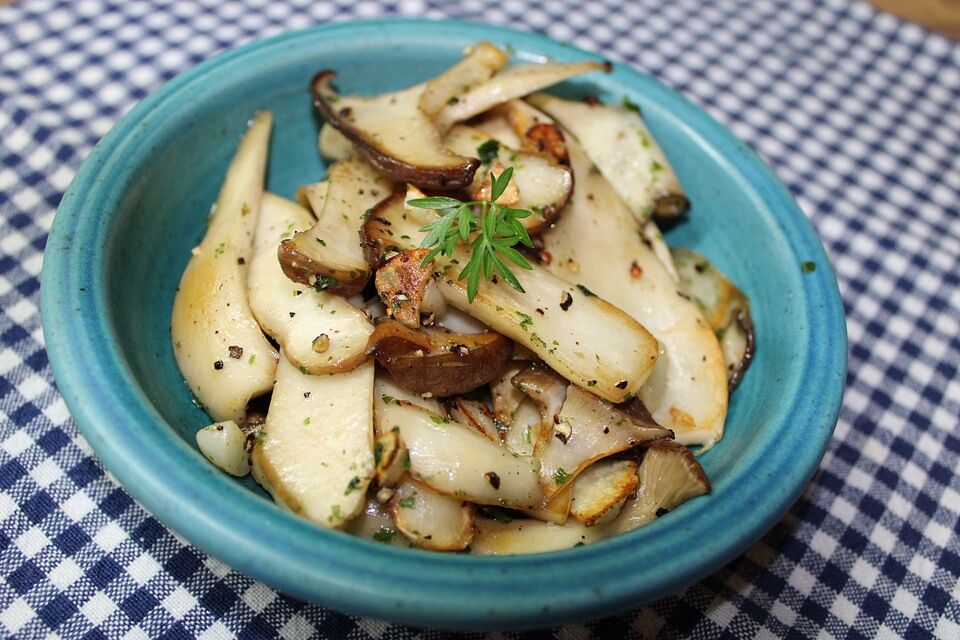 Kräuterseitlinge "pur" gebraten