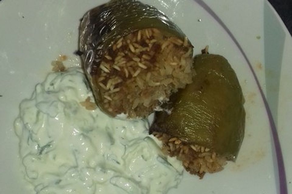 Dolma