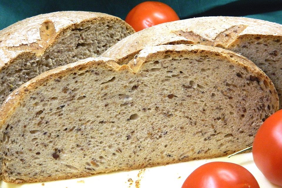 Mehrkorn-Sauerteig-Dinkelvollkornbrot