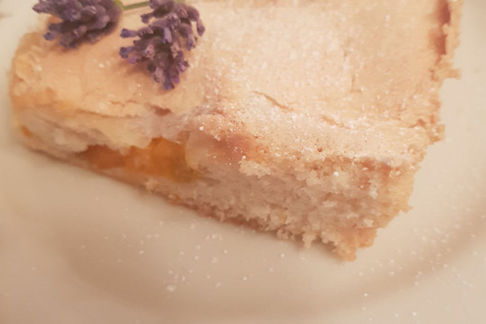 Altbaerlis Marillenkuchen