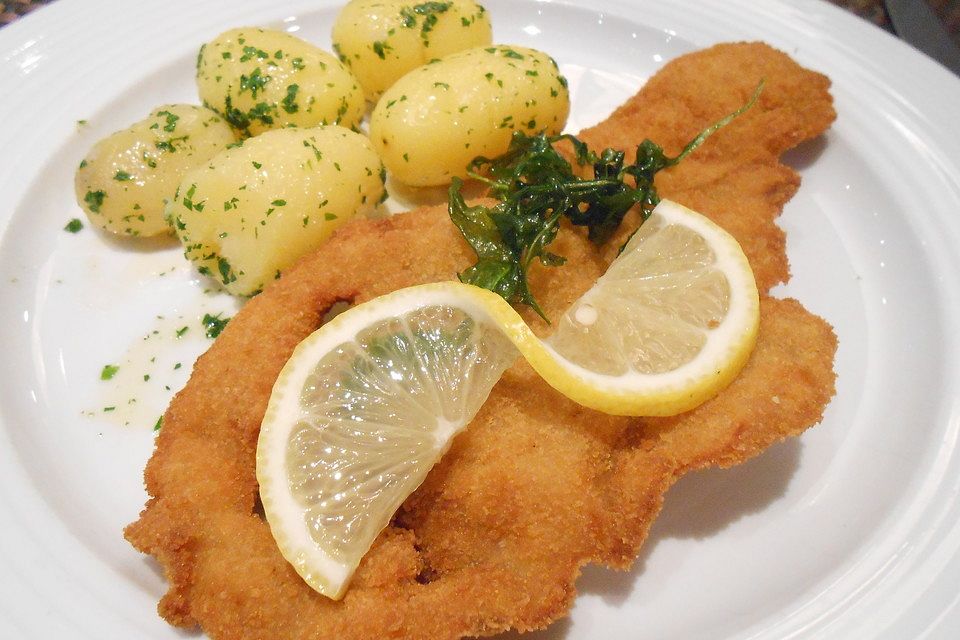 Schnitzel Wien - Rom