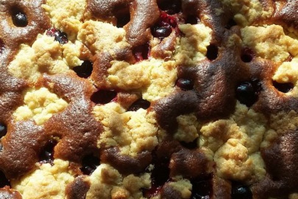 Johannisbeer-Streusel-Kuchen