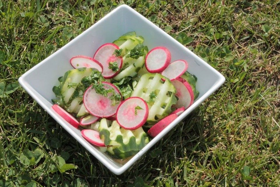 Gurkensalat mit Radieschen