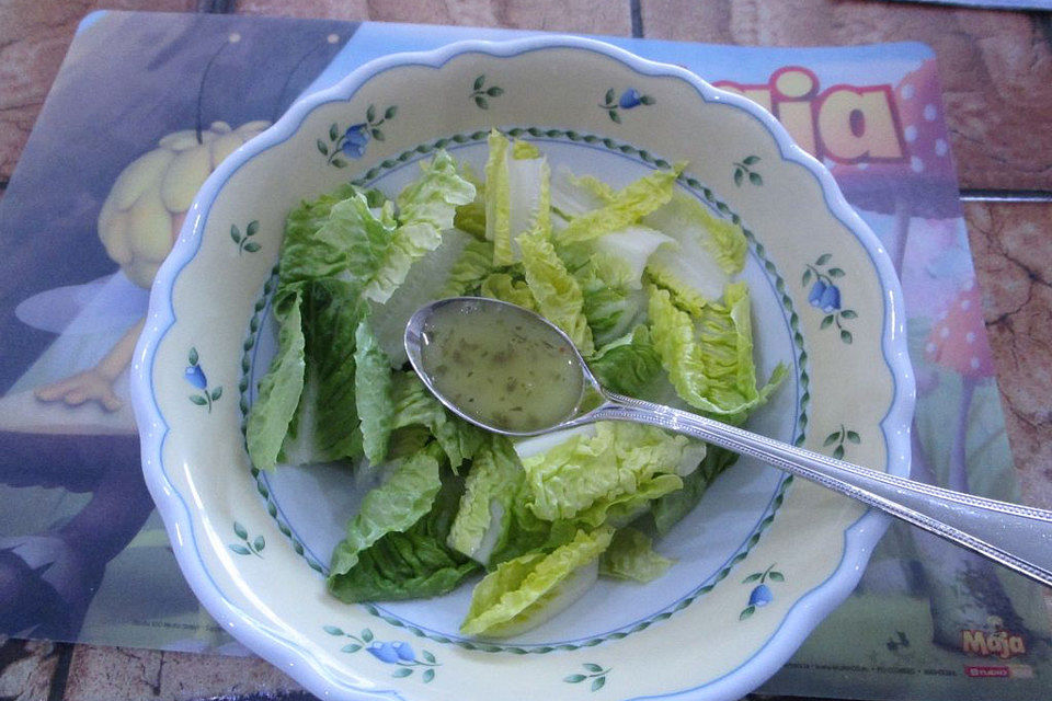 Honig-Senf-Dill Dressing