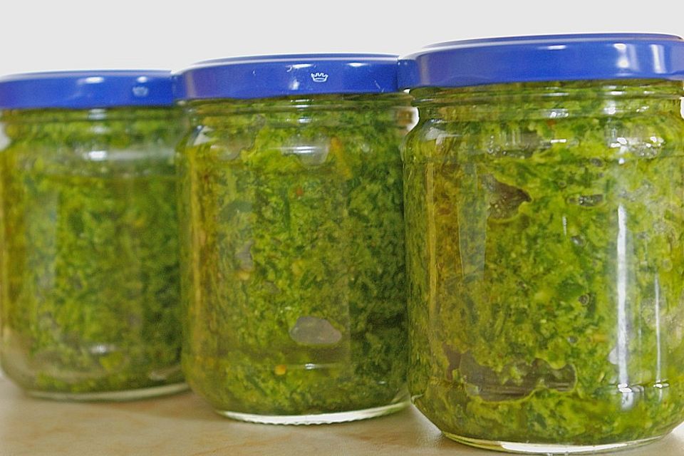 Bärlauch - Pesto