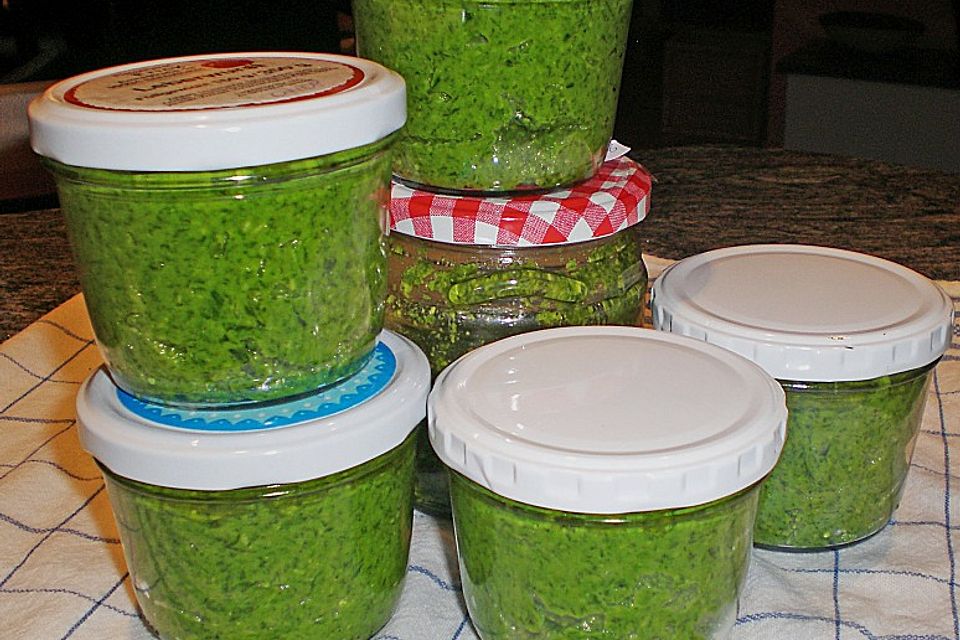 Bärlauch - Pesto