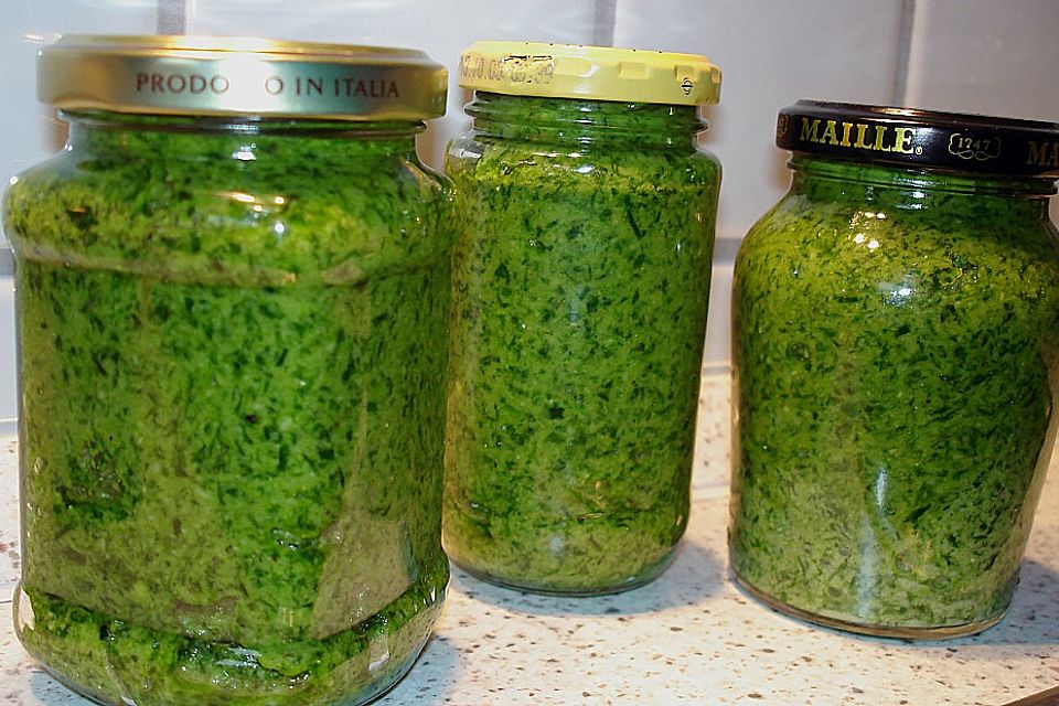 Bärlauch - Pesto